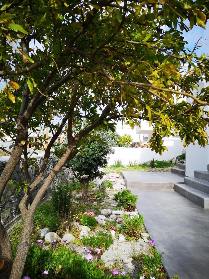 אדאמאס Summer Villa מראה חיצוני תמונה